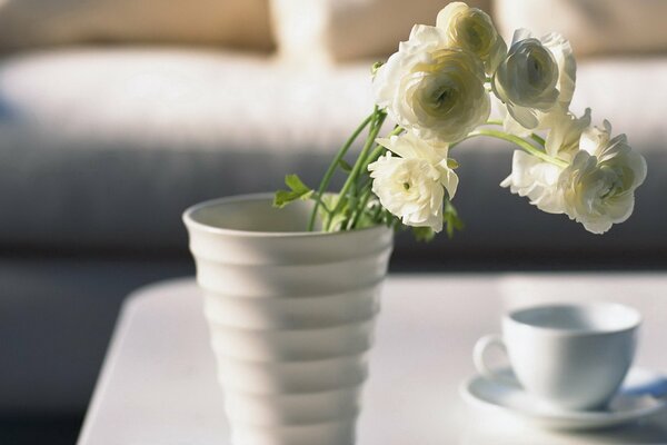 Weiße Rosen am Morgen Stimmung mit Tasse