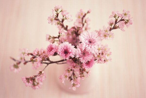 Bouquet of delicate pink flowers