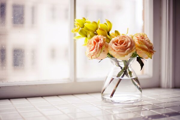 Gelbe Rosen in einer transparenten Vase am Fenster