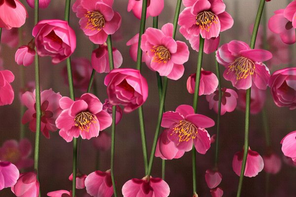 Immagine di fiori rosa su steli lunghi