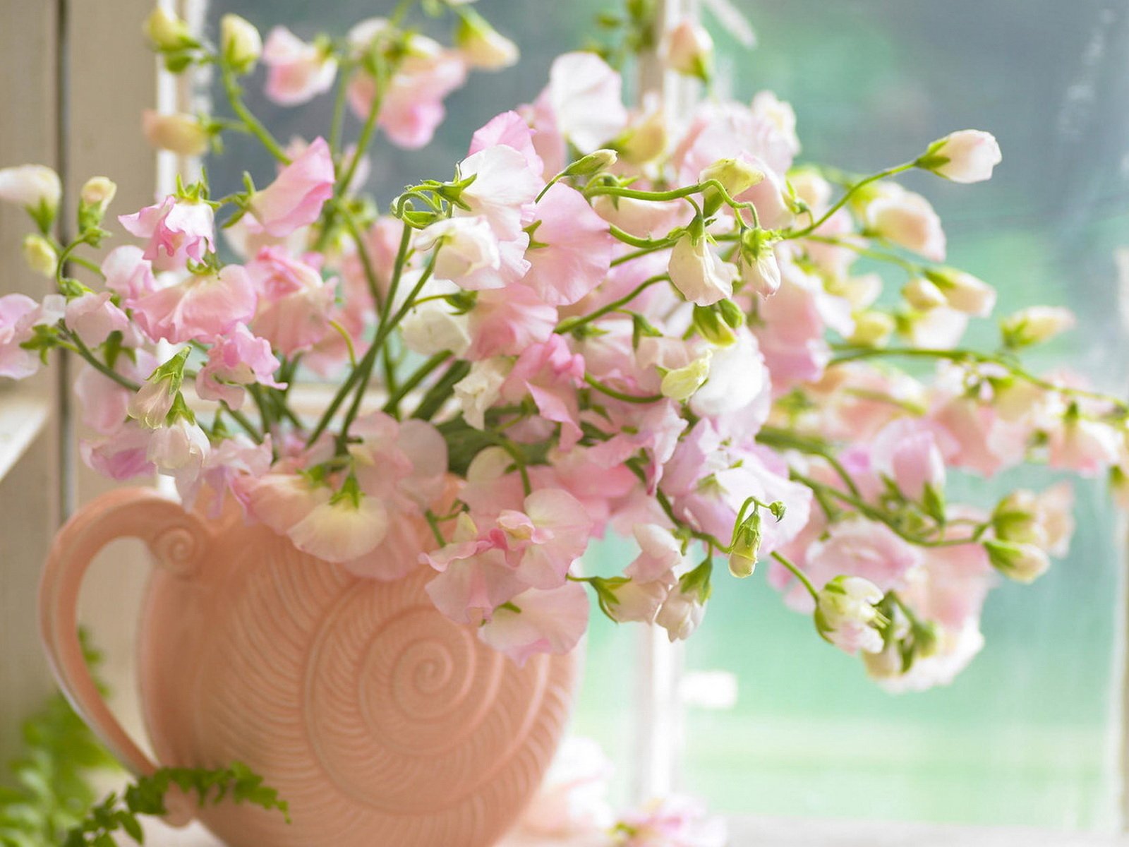 rosa blumenstrauß blumen fenster vase