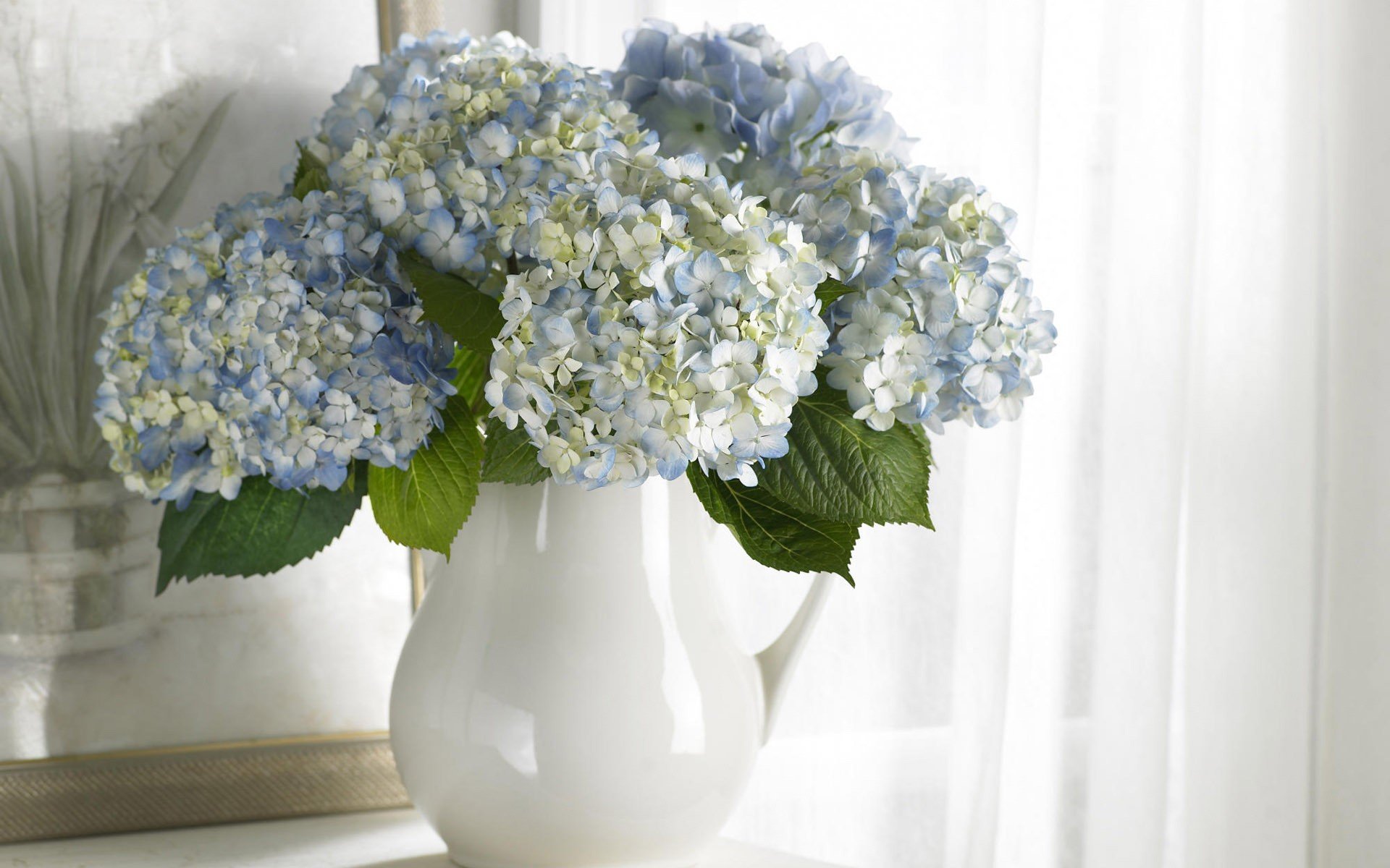 vase bouquet flower white blue pattern purity