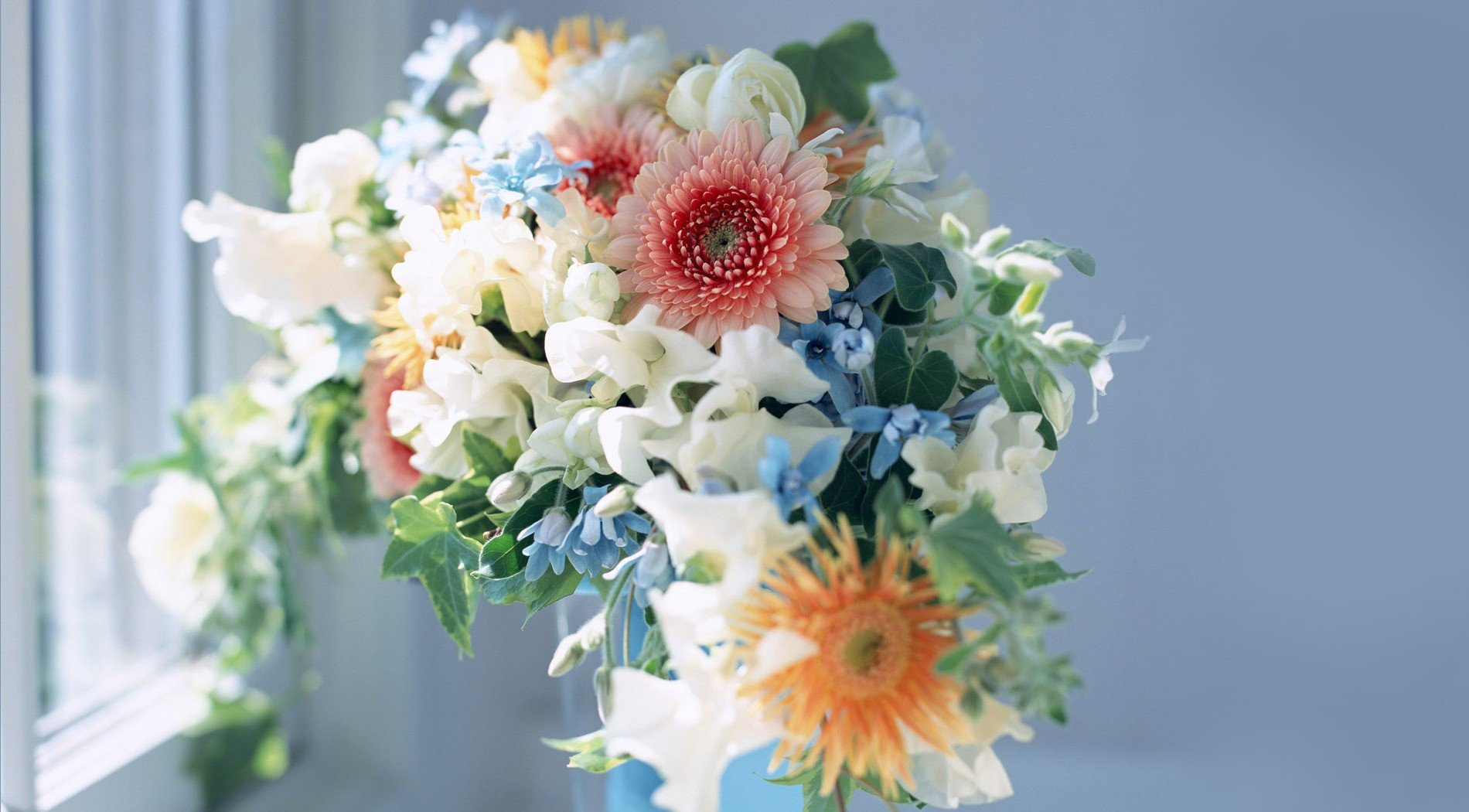 blumenstrauß blumen blätter knospen stiele grüns fenster licht