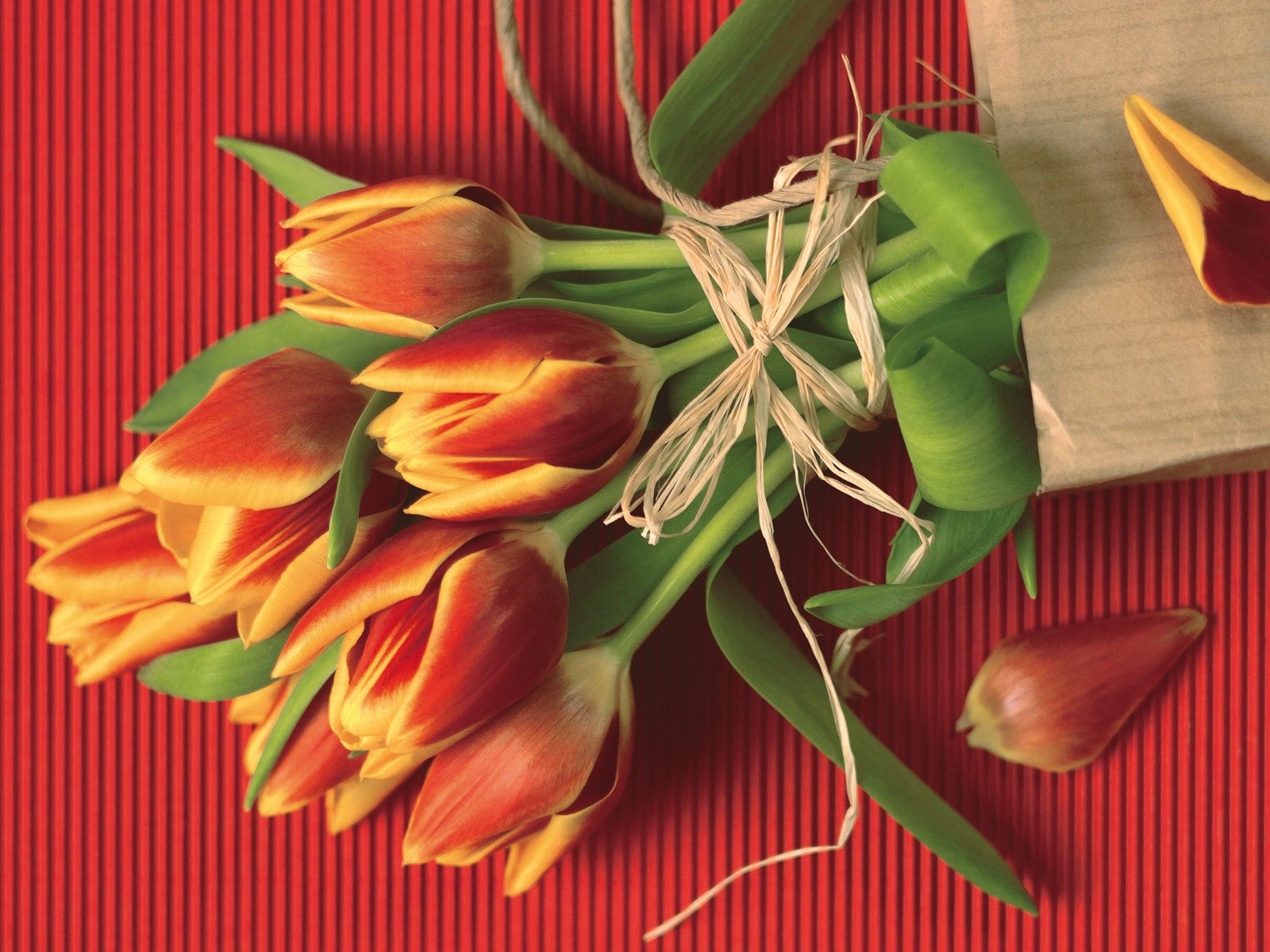 tulips rope red bouquet petal