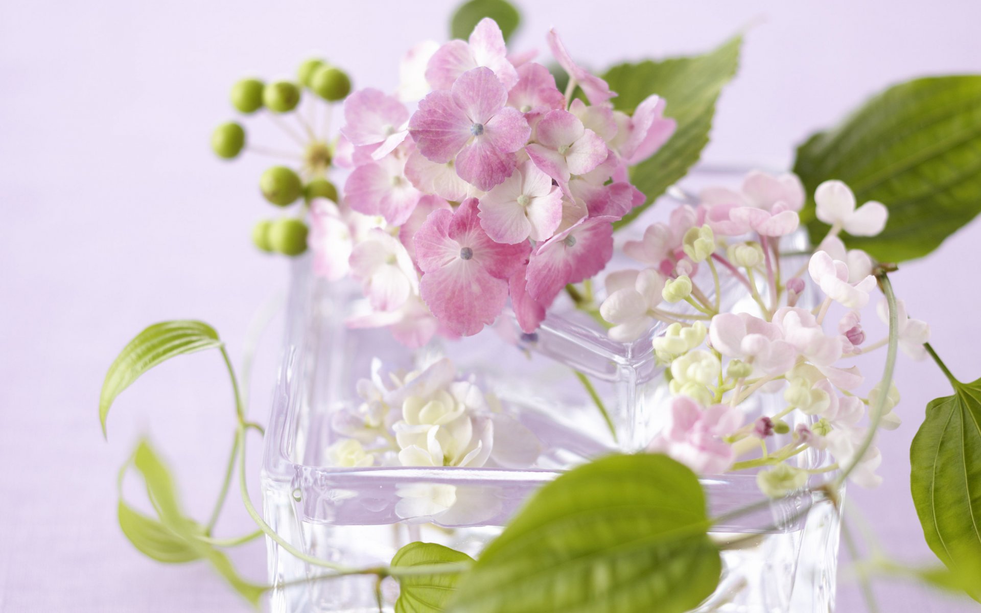 flower vase glass petals leave