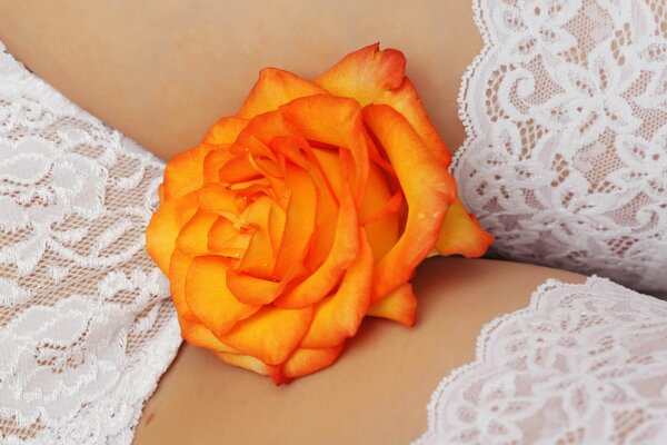 Orange rose on a woman s body