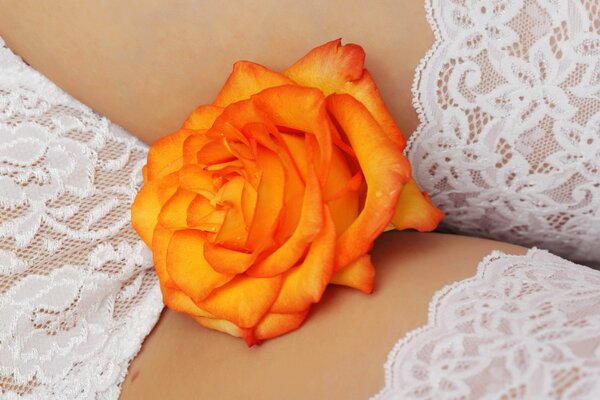 Оранжевая роза на женском теле