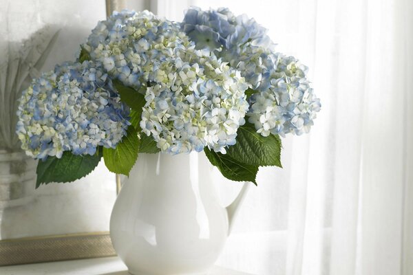 White vase with a bouquet of hydrangeas