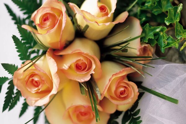 Gros plan de prise de vue d un bouquet de roses