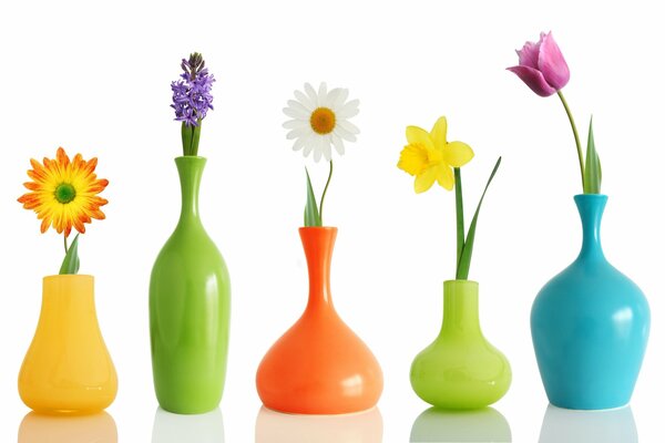 Colorful vases with different flowers