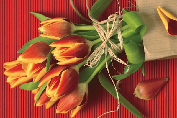 Blumenstrauß der Tulpen auf rotem Hintergrund