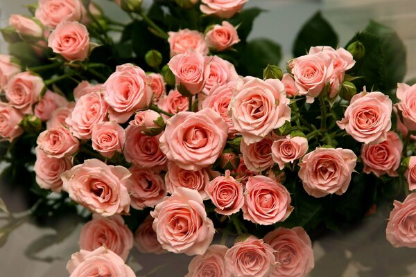 Bouquet of delicate peach roses