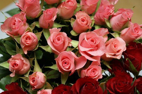 Radość dla pań róże czerwone i różowe