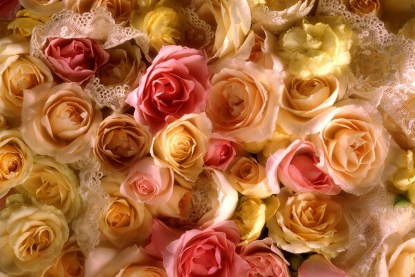 Жёлтые и розовые розы на всем экране