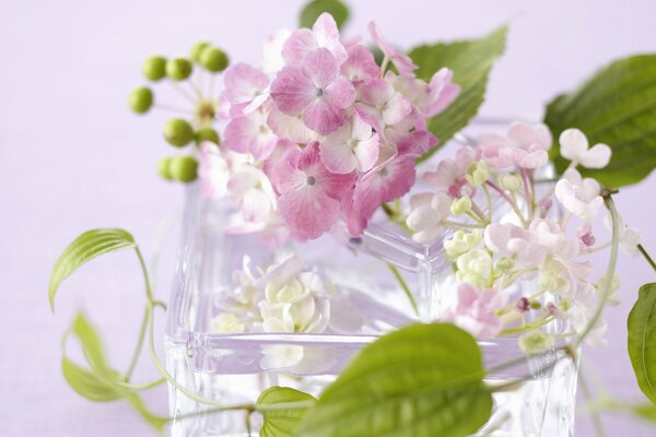 Fleurs lilas dans un vase en verre