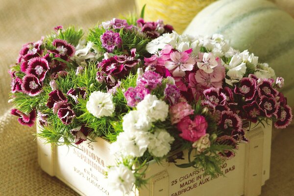 Colorful carnations in a box