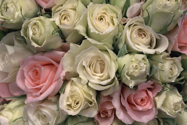 Beau bouquet de roses délicates