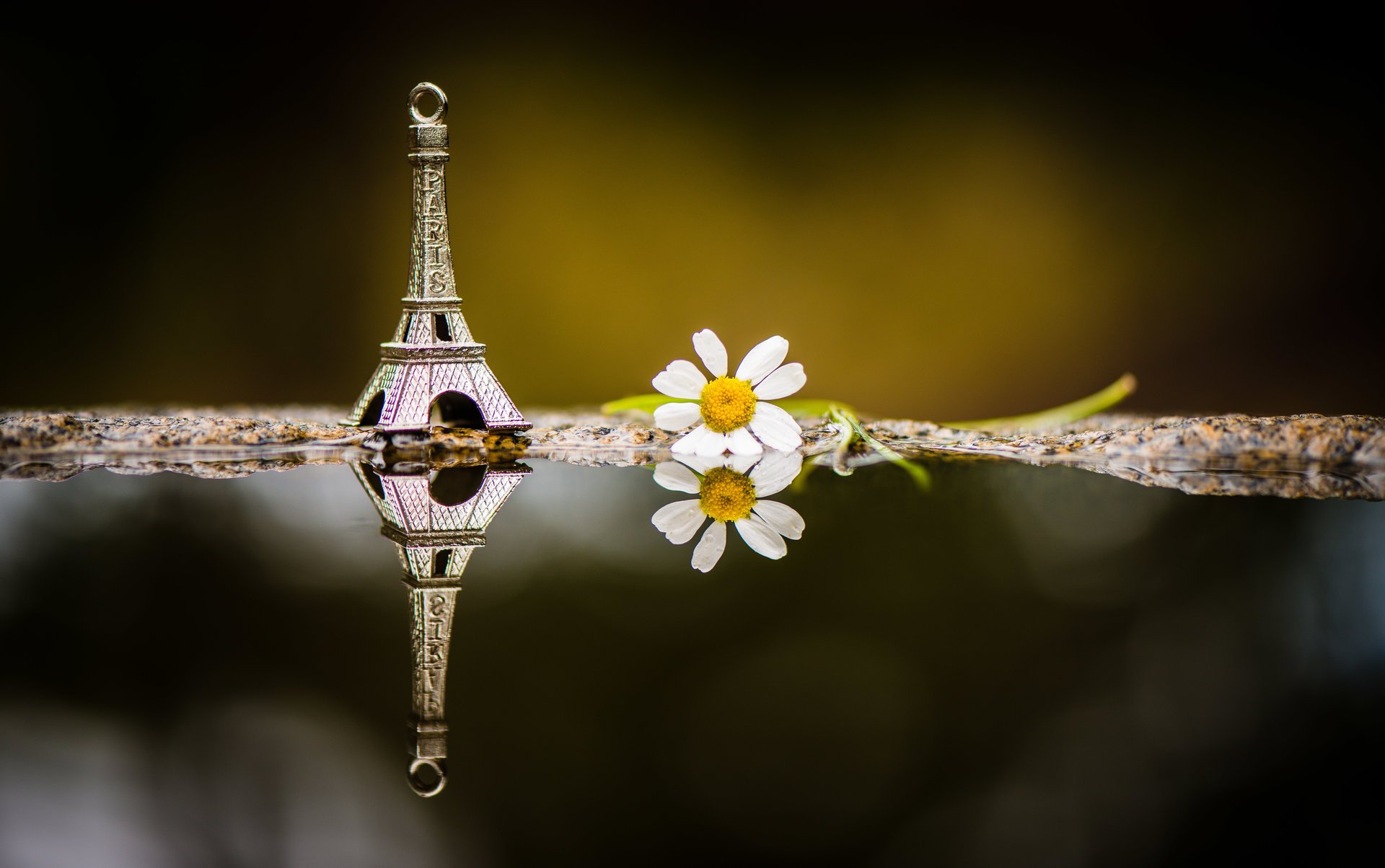 jamie frith fotografo foto giocattolo figura torre eiffel. riflessione macro ripresa