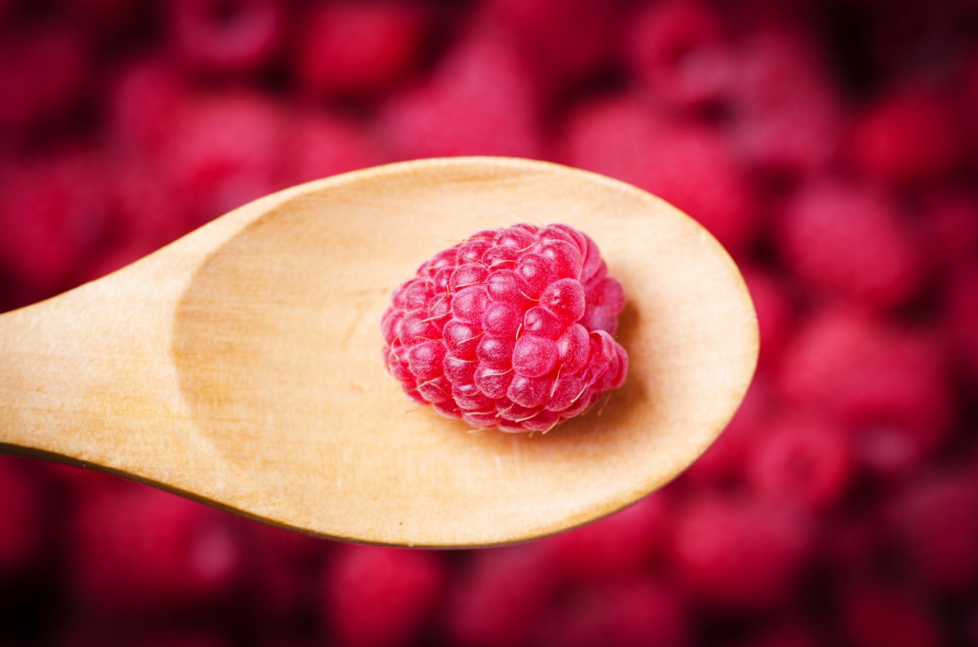 framboise cuillère baie gros plan