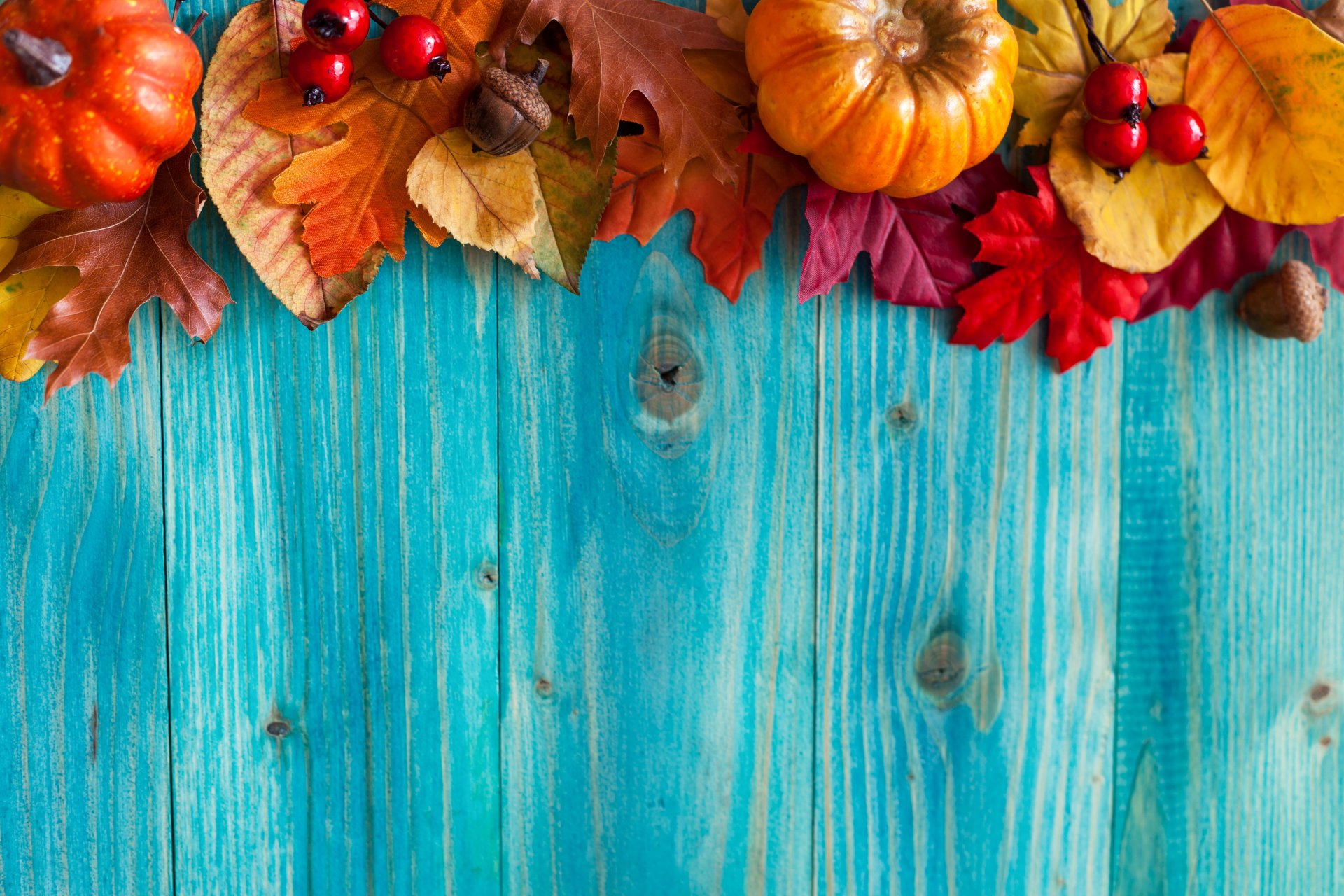 automne feuilles arbre récolte glands baies citrouilles