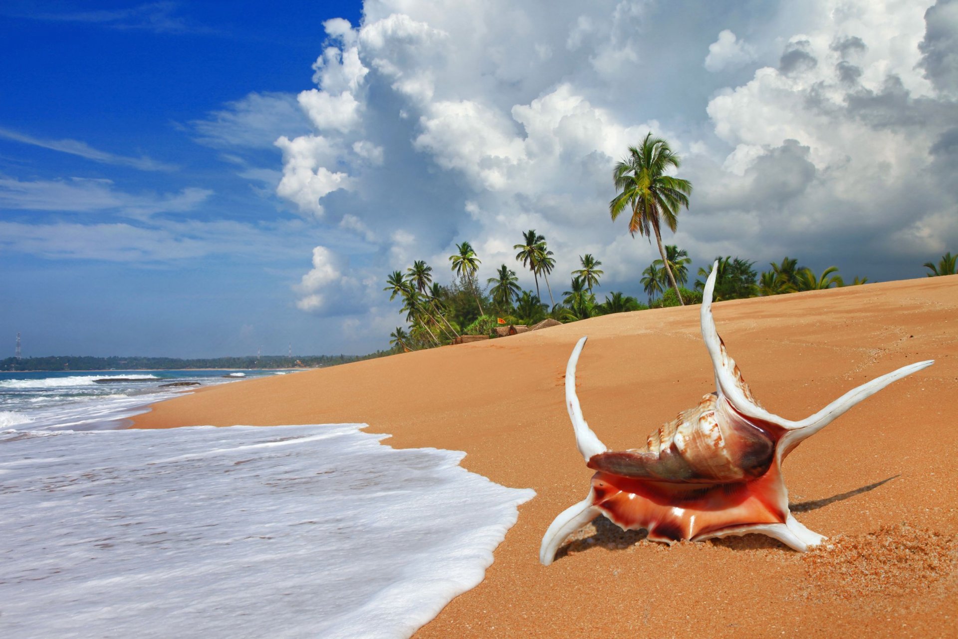 playa concha arena océano