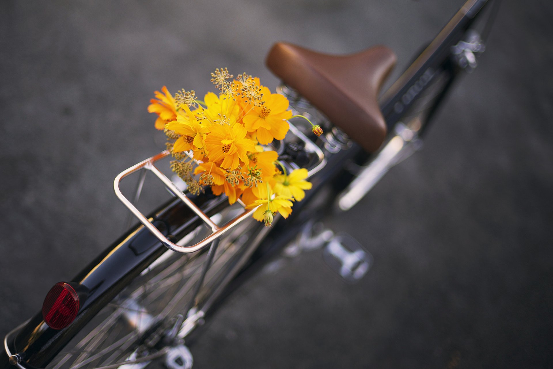 bicicleta flores ramo de flores