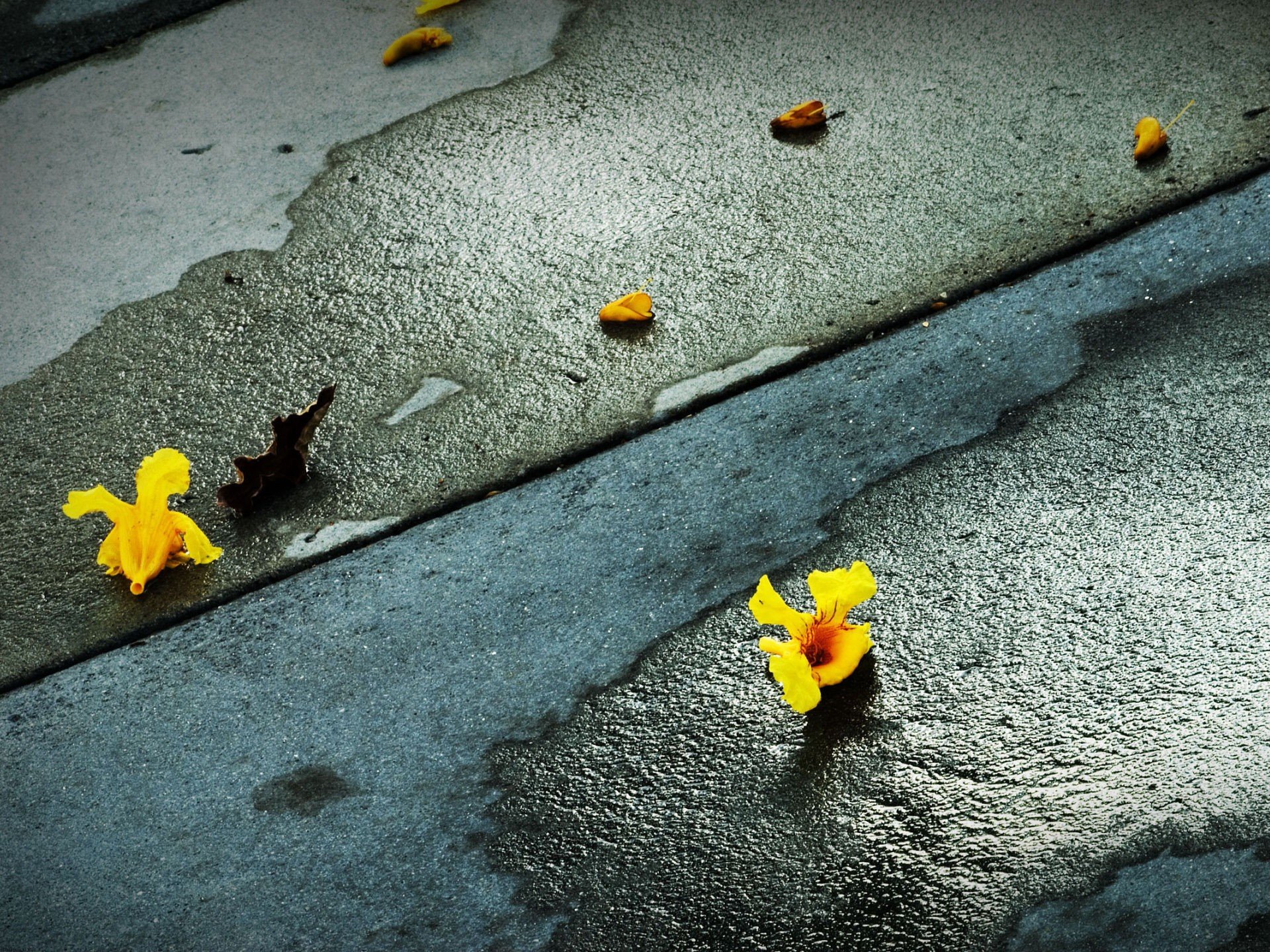 asphalt yellow