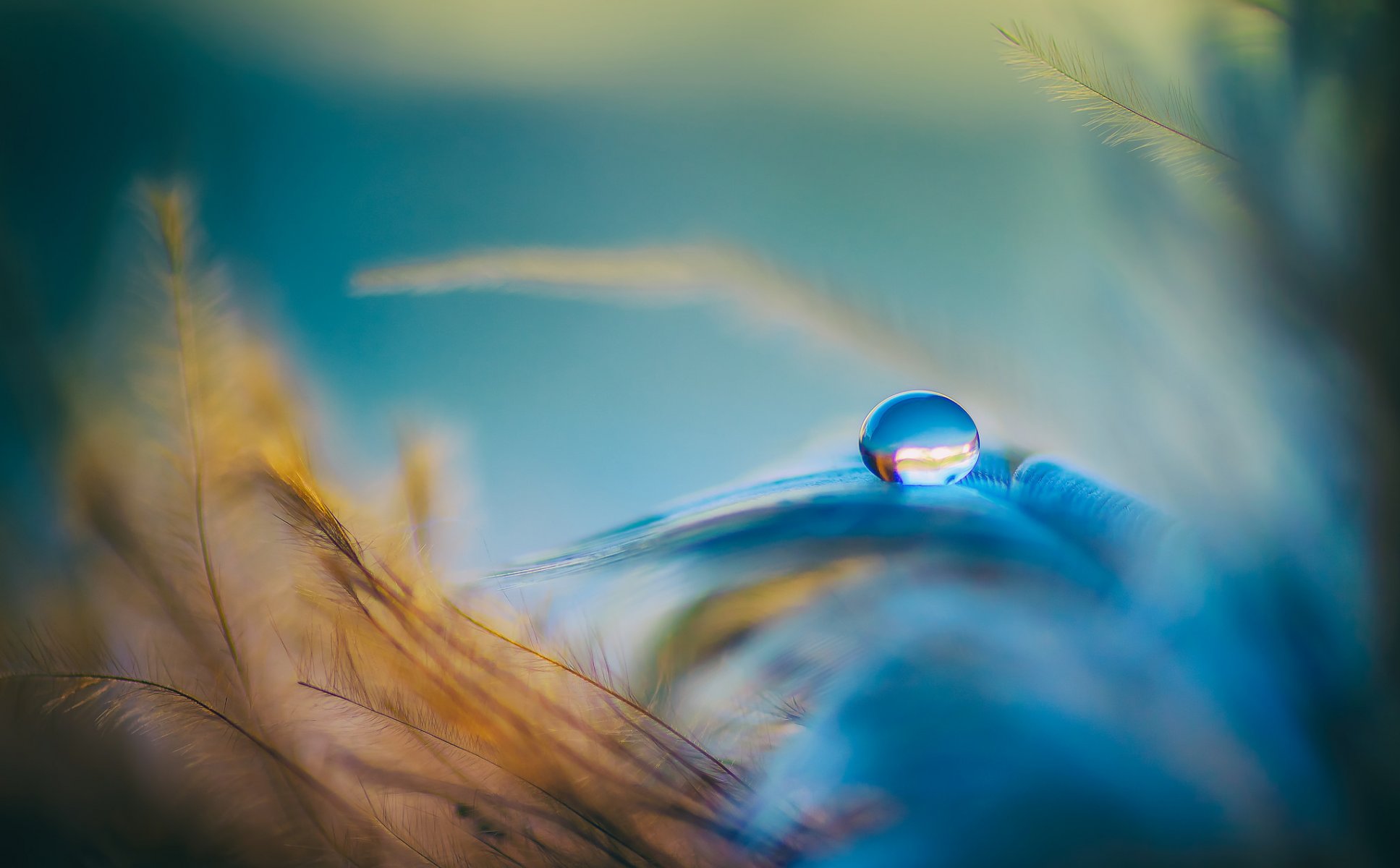 gota plumas azul naranja agua