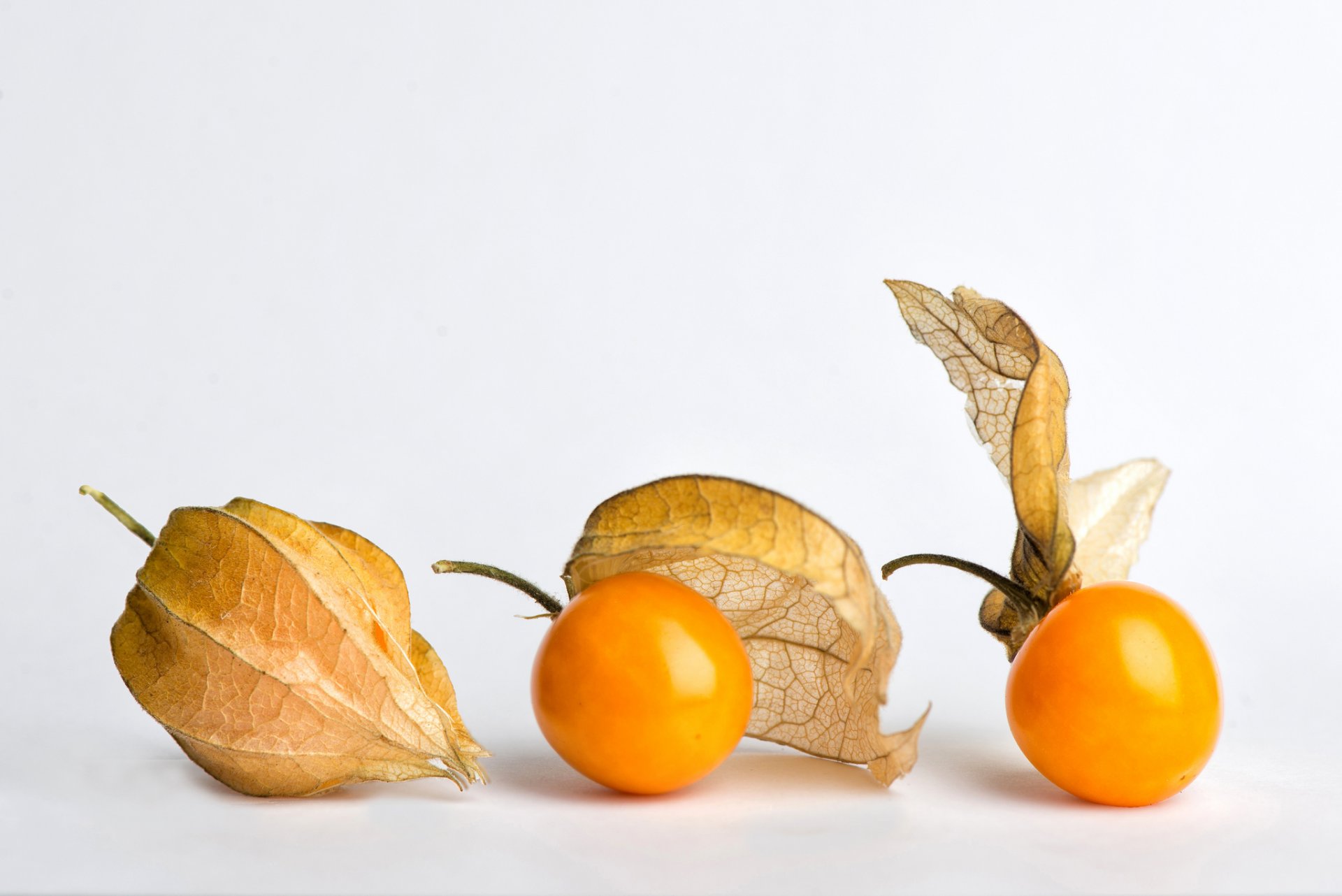 physalis früchte beeren samen orange weißer hintergrund