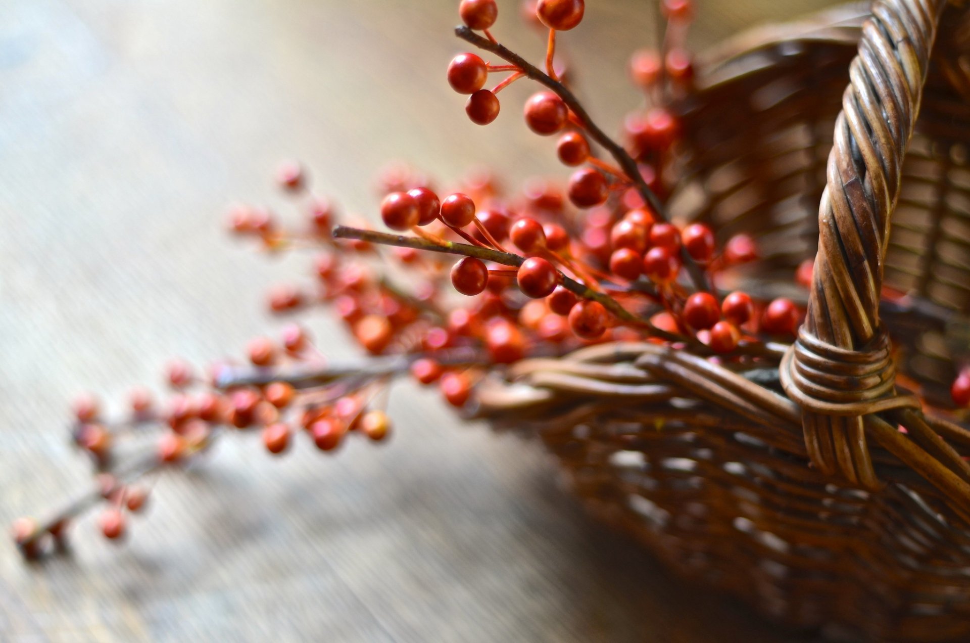 hopping berries close up