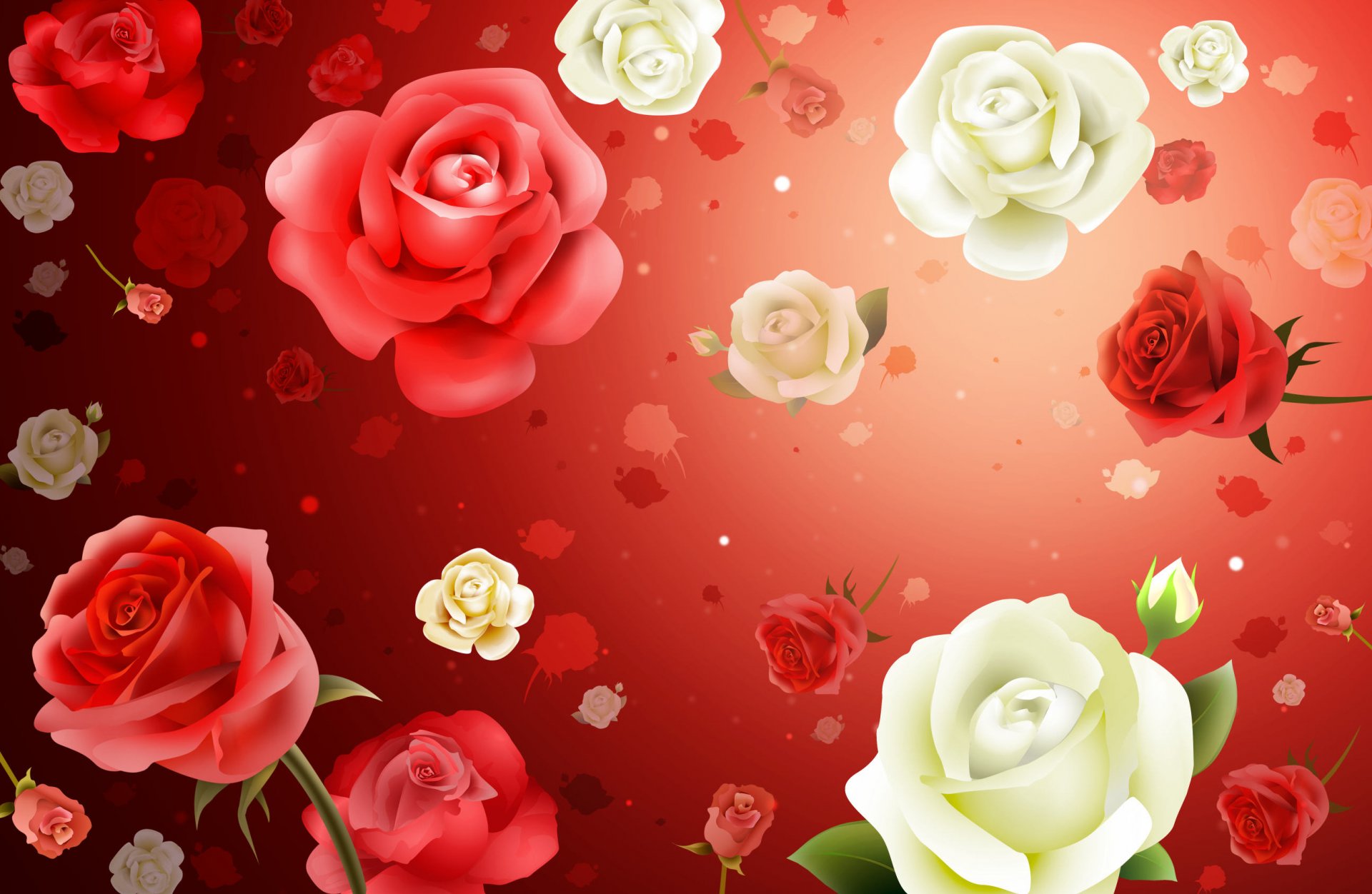 wallpaper background roses flower