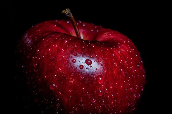 Bright red apple in water drops on a black background