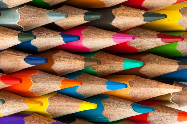 Crayons de couleur en bois