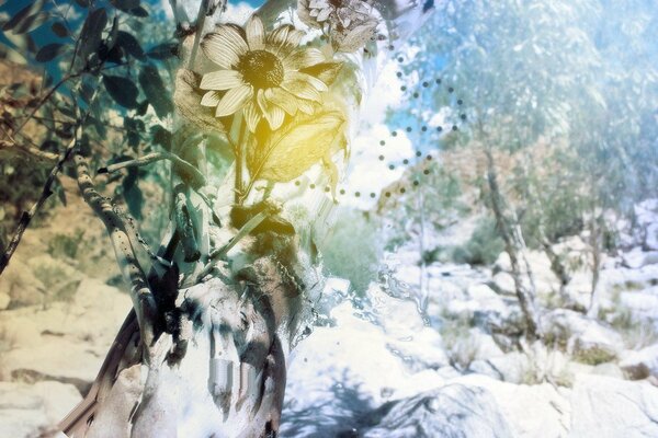 Elaborazione di foto di fiori e alberi