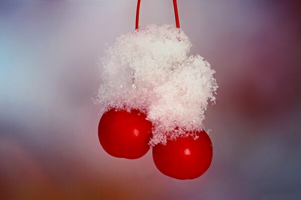 Dos cerezas en cristales de nieve