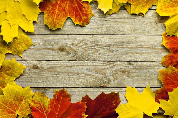 Photo frame made of autumn leaves