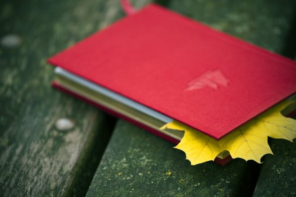 Autumn leaf in a red notebook