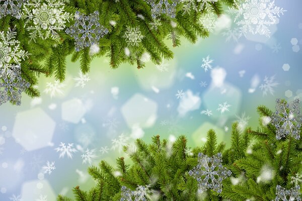 Beautiful snowflakes on fir branches