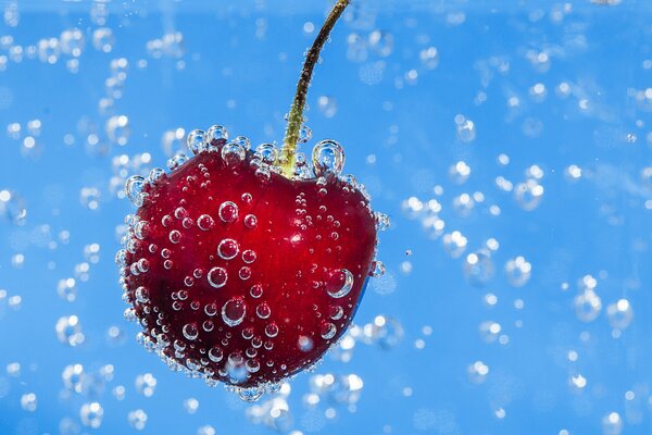 Cherry berry in liquid bubbles