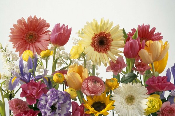 Blumenstrauß in verschiedenen Farben auf weißem Hintergrund