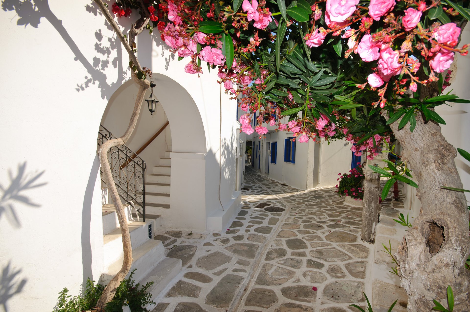 case fiori grecia santorini