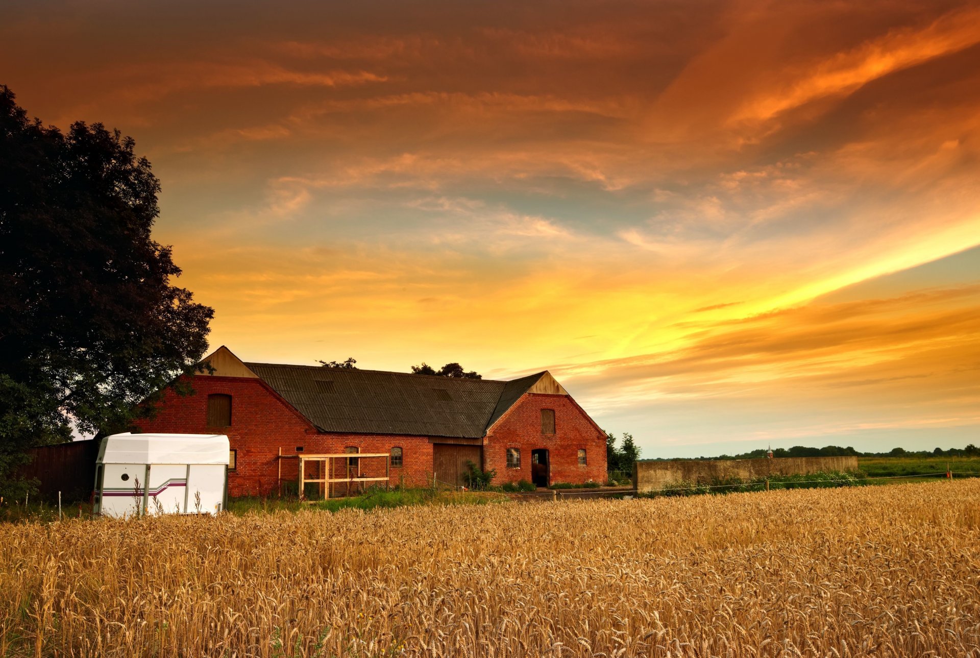 natur haus haus pflanze roggen weizen bäume baum blätter sonne himmel wolken hintergrund widescreen vollbild tapete