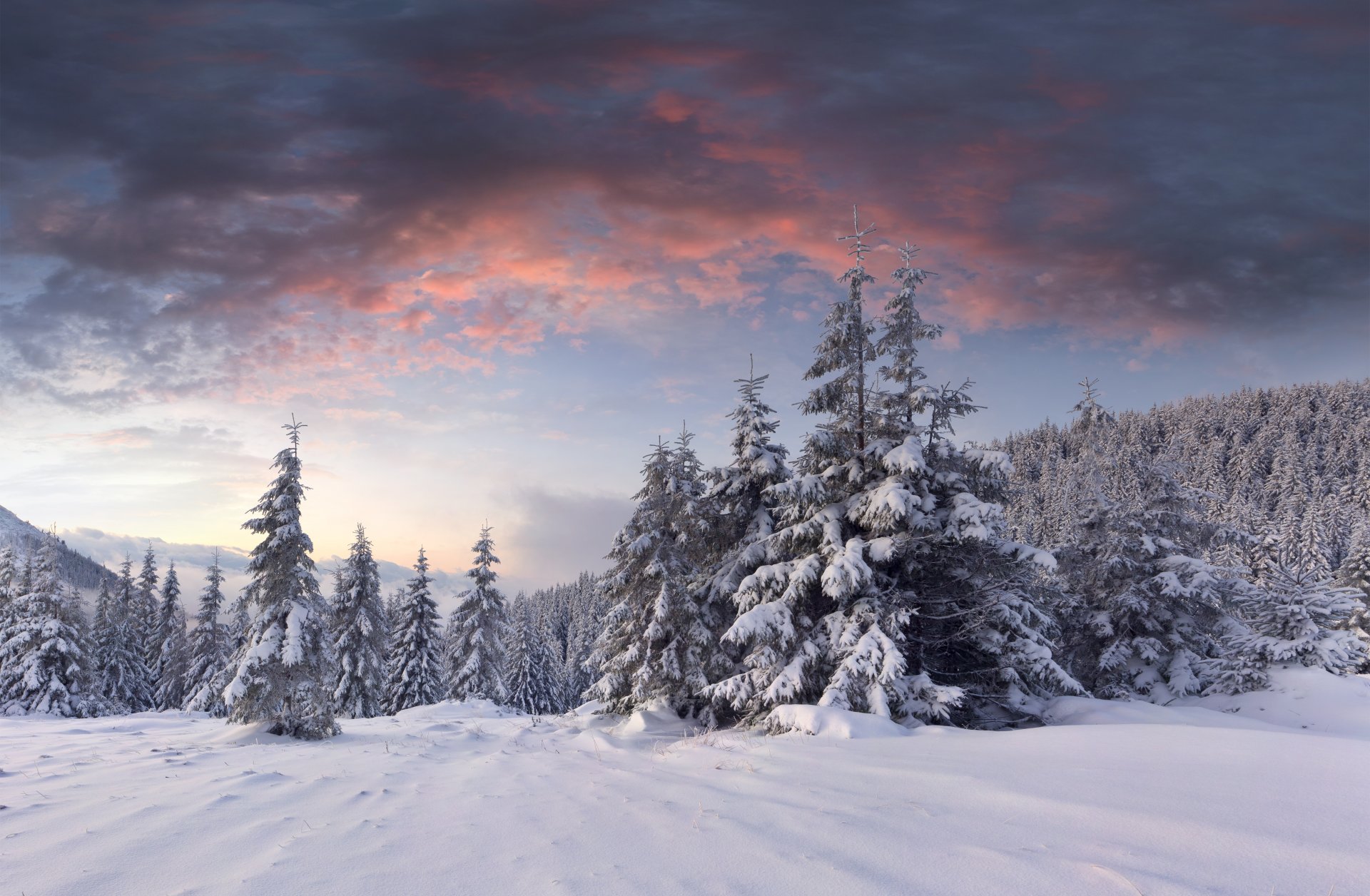 schnee dämmerung wolken winter wald hügel