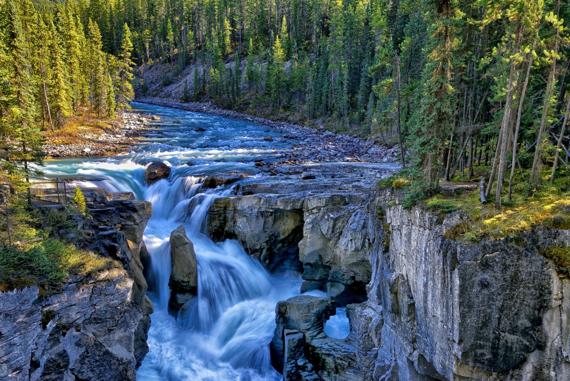 cascade unwapta rivière sunwapta parc national de jasper canada cascade rivière roches forêt arbres