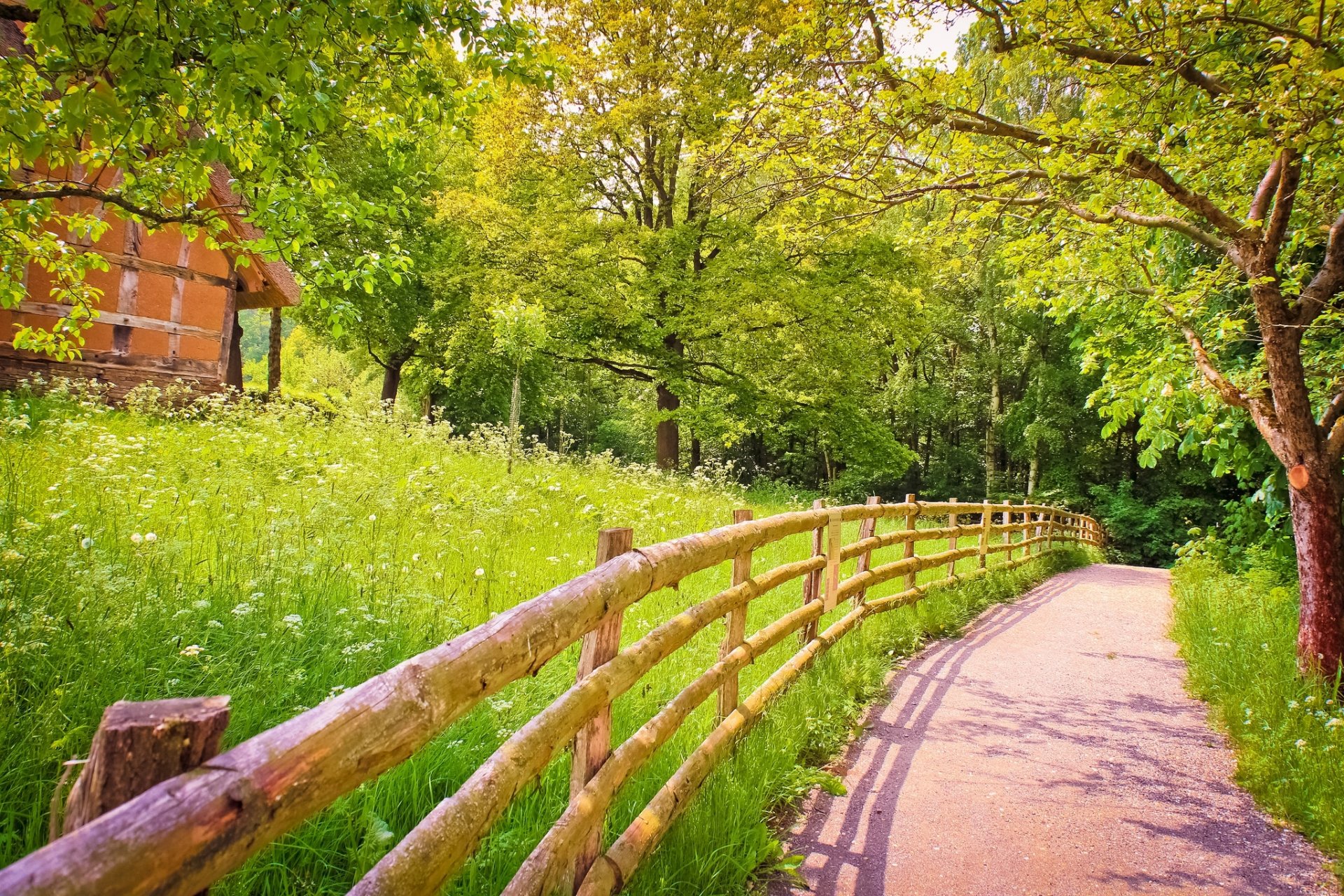 road shadow fence wood tree grass green house summer nature