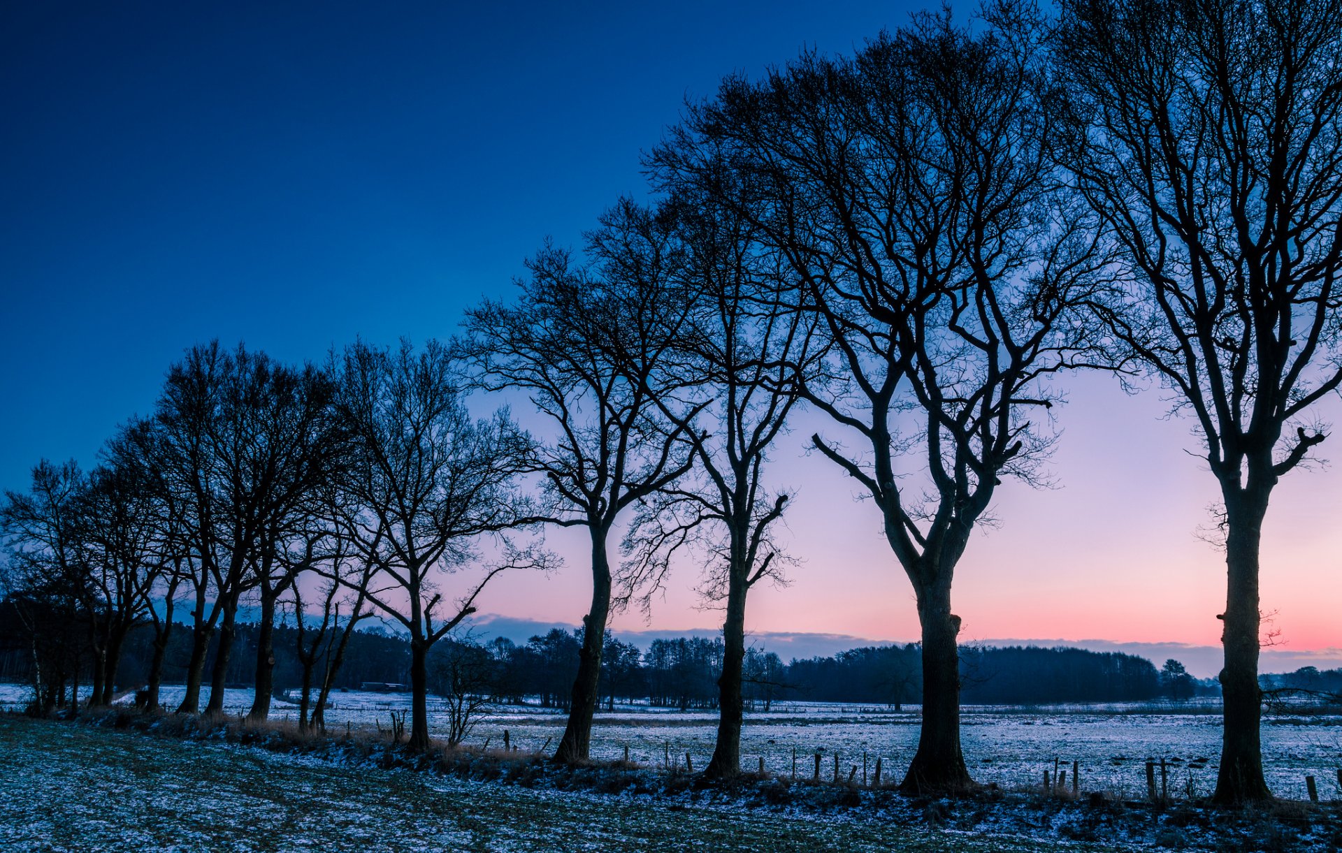 norvegia campo radura alberi inverno gelo mattina alba alba