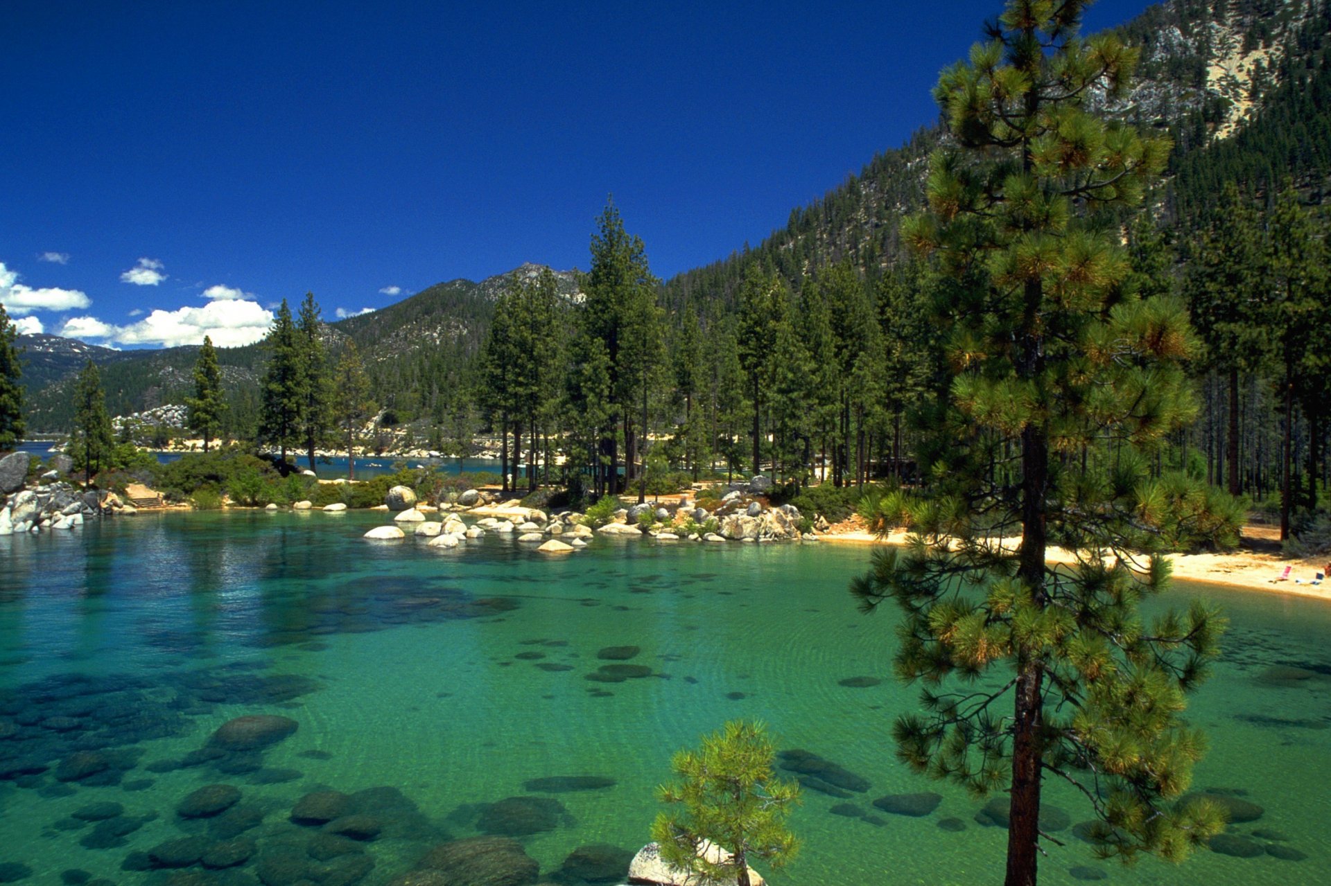 lago rocce foresta lago tahoe california