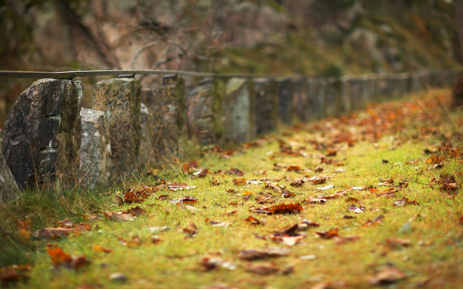 herbst jahreszeit traurigkeit gras grashalme orangefarbene blätter gefallen gelände zaun steinzaun original