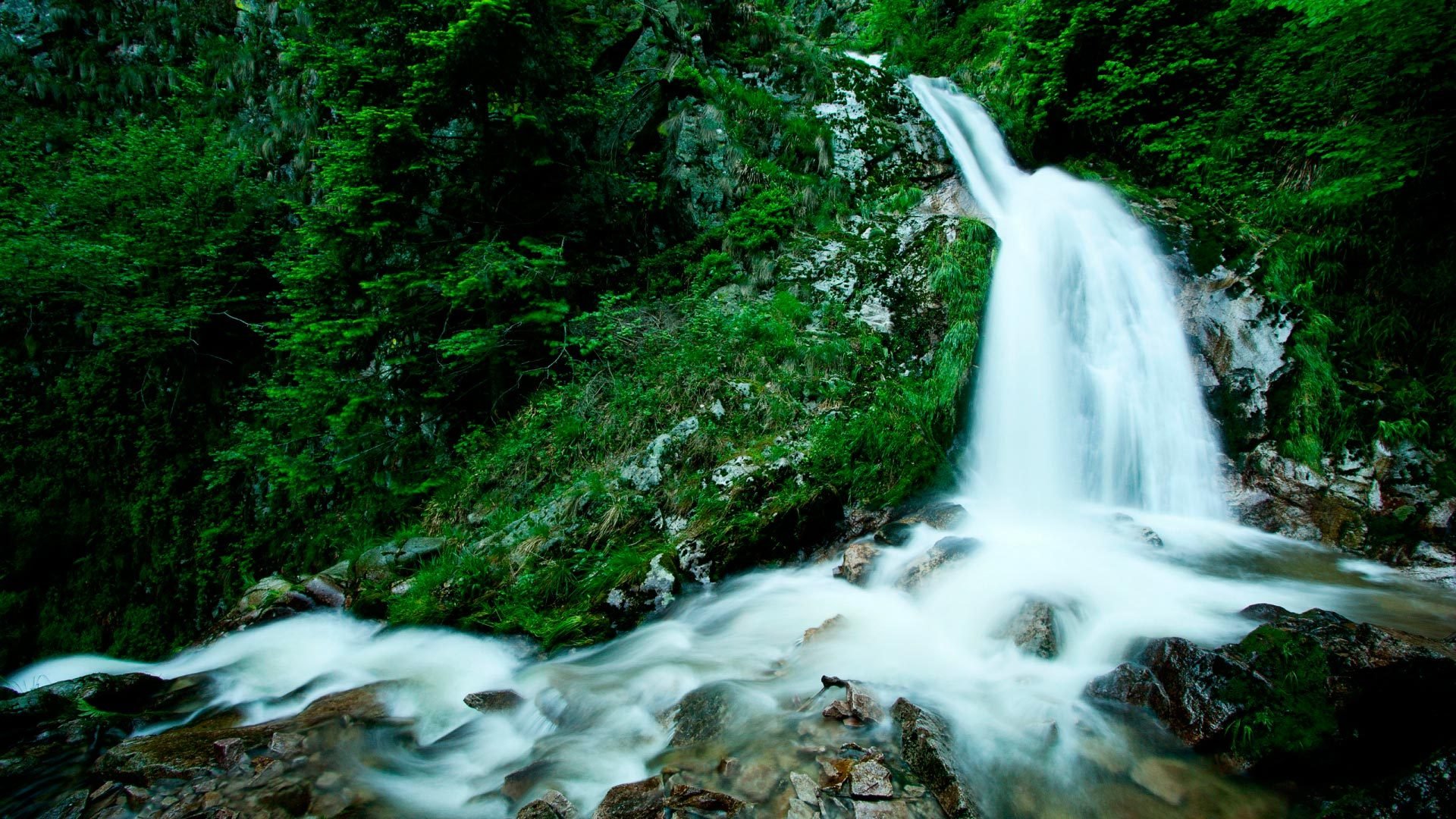 cascata acqua pietre verde