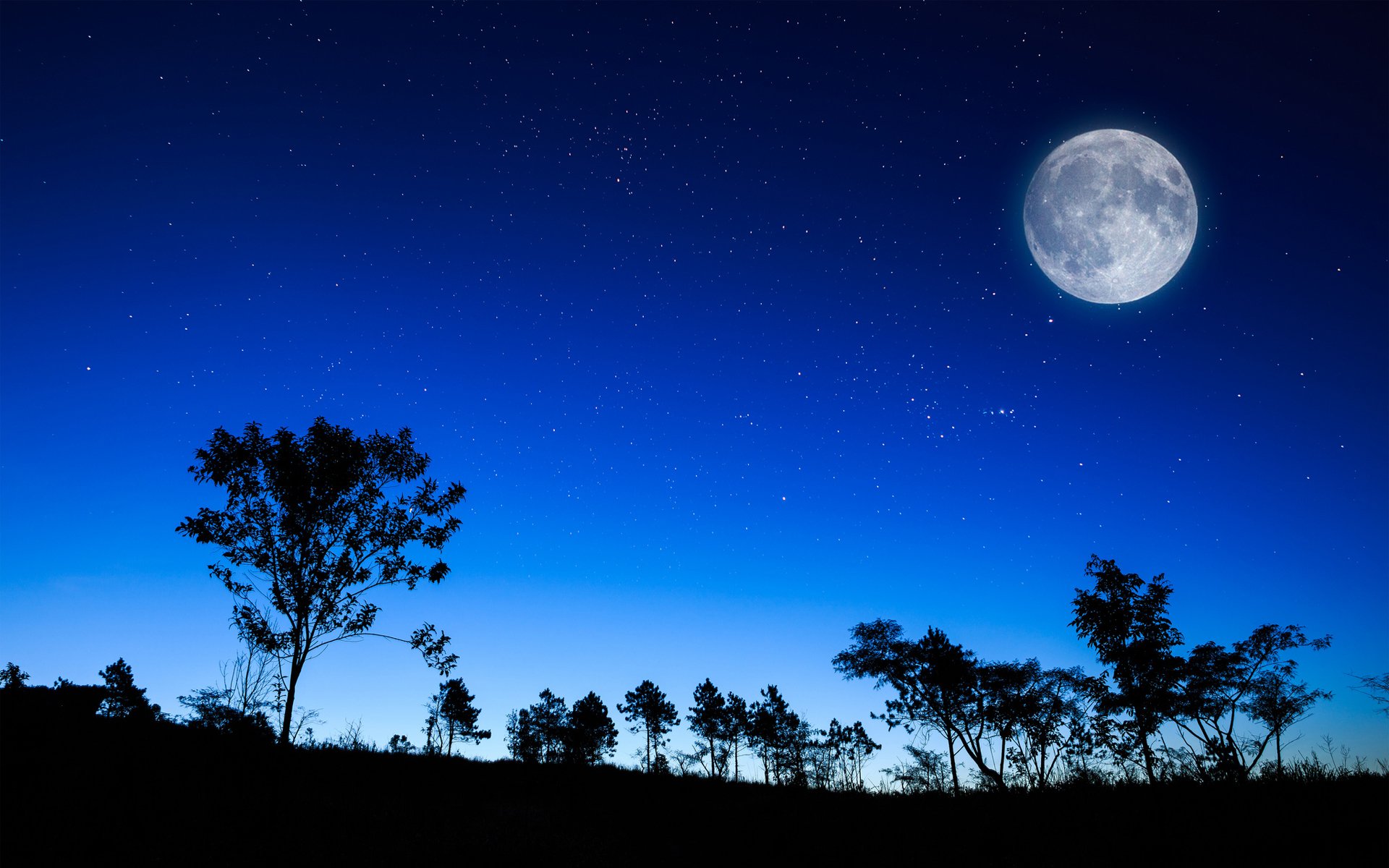 ky night star moon silhouettes tree